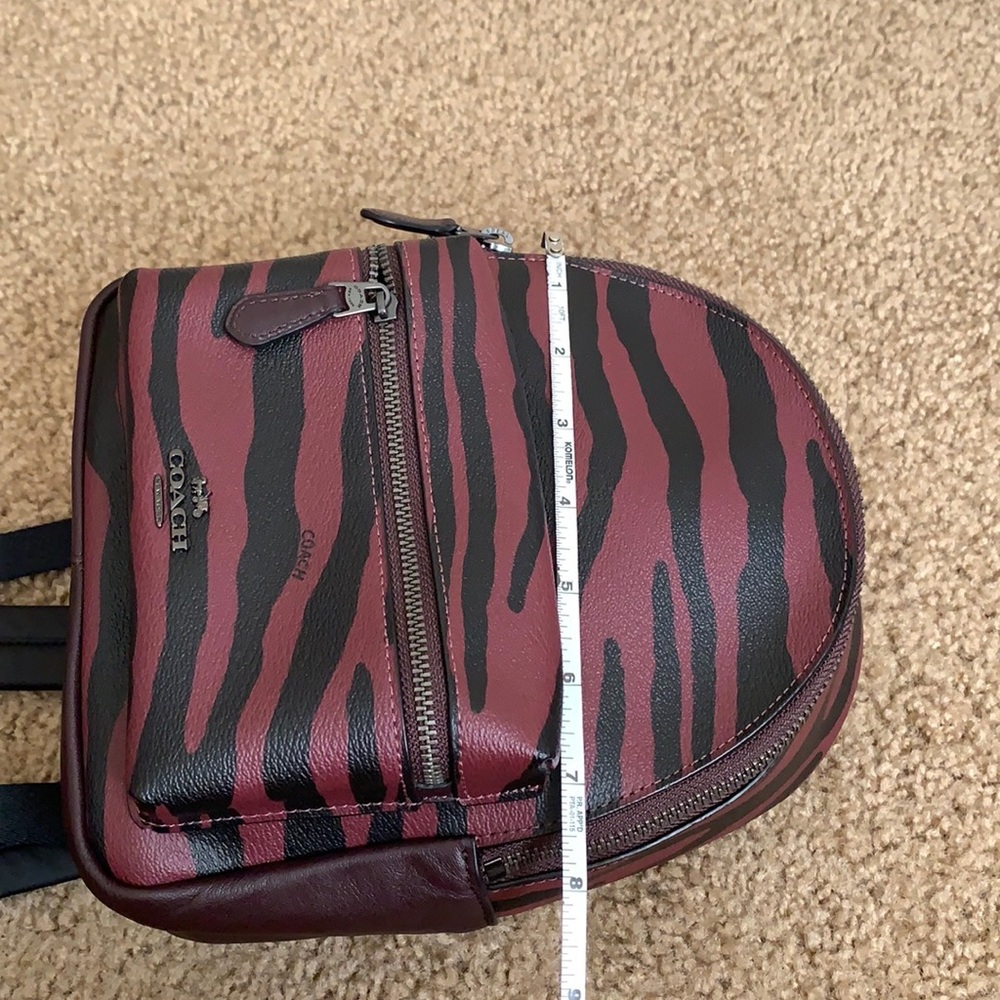 Coach - Picture 11 of 15
